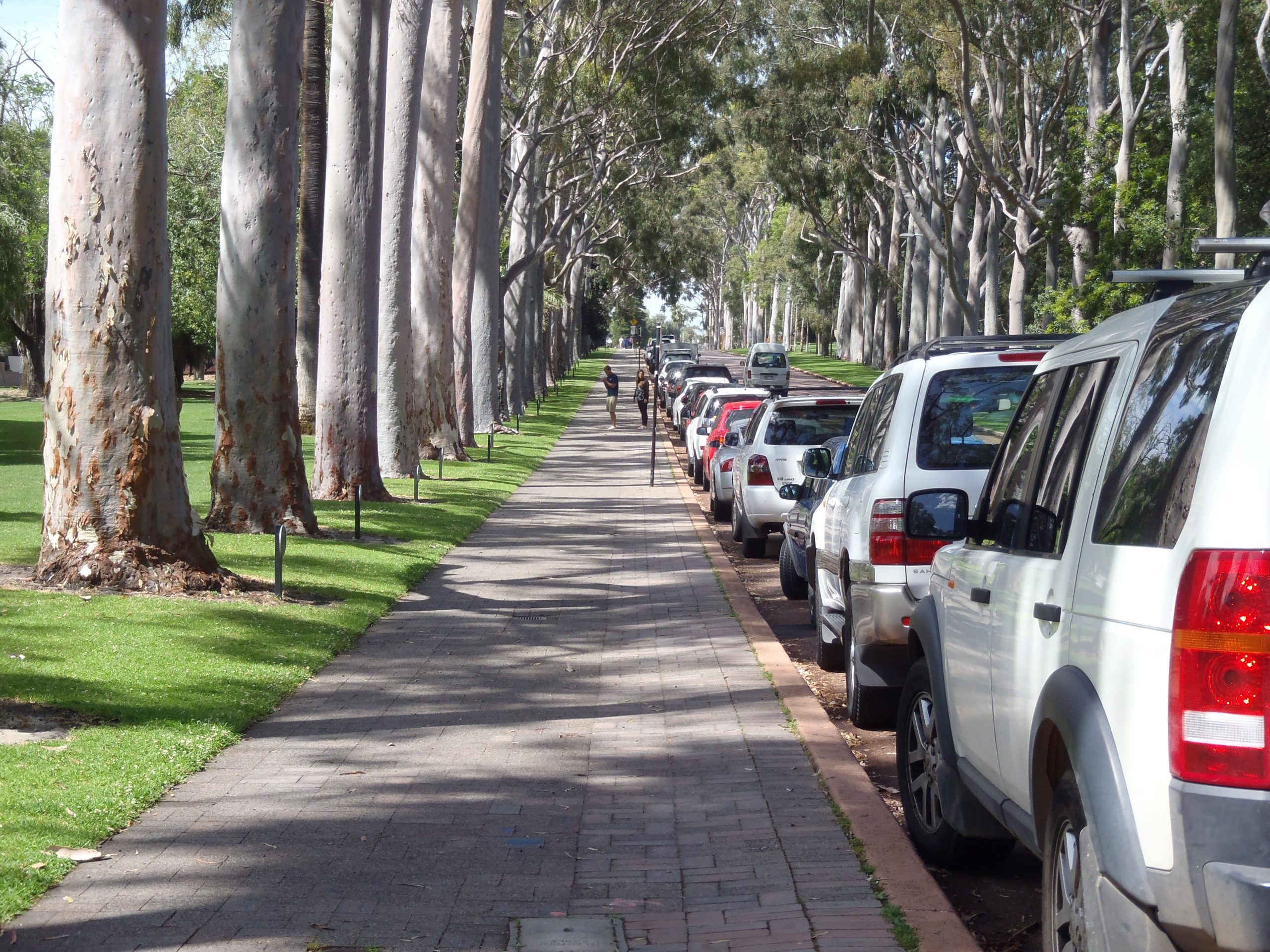 Parking Strategies & Solutions